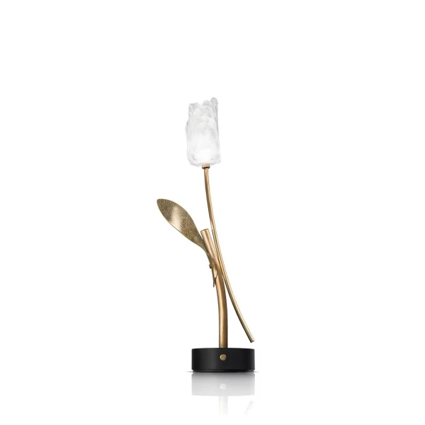 Настольная лампа золотая, прозрачная Tulip Battery Slamp — фото 1