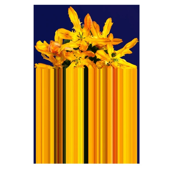Ковер Glitch Yellow Rectangular Qeeboo — фото 1